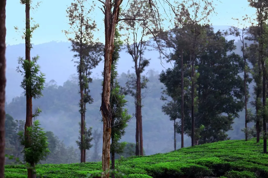 Parisons Plantation Experiences By Abad Hotel Mananthavady Resort