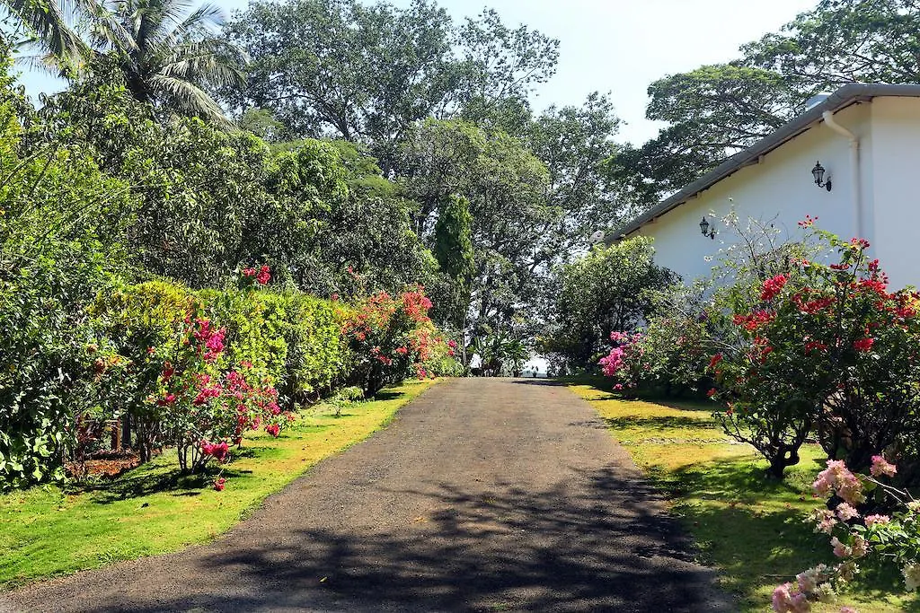 Parisons Plantation Experiences By Abad Hotel Mananthavady