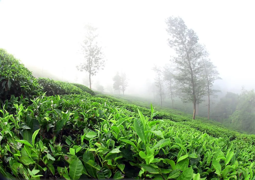 Parisons Plantation Experiences By Abad Hotel Mananthavady