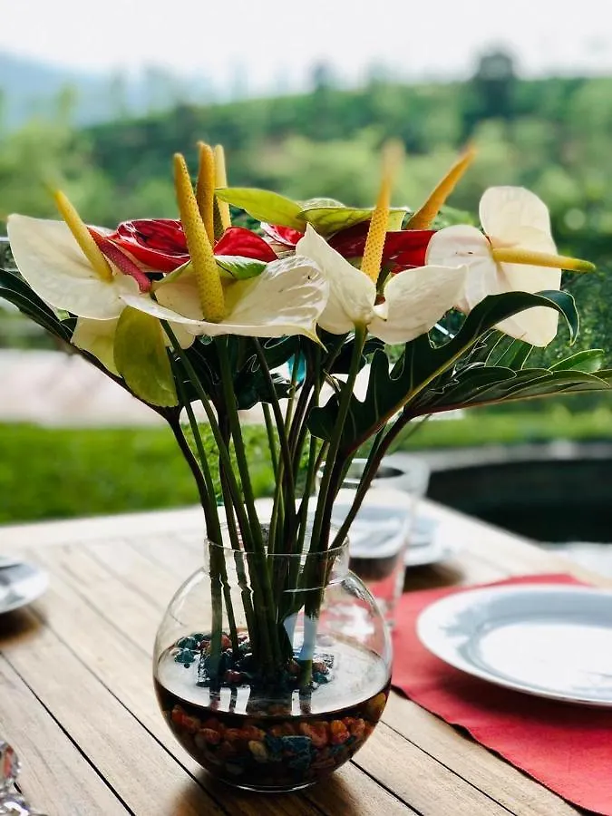 Parisons Plantation Experiences By Abad Hotel Mananthavady 5*,