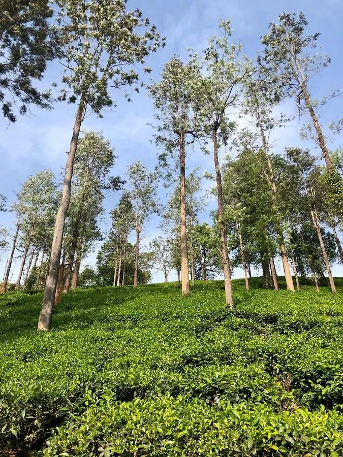 Parisons Plantation Experiences By Abad Hotel Mananthavady Resort